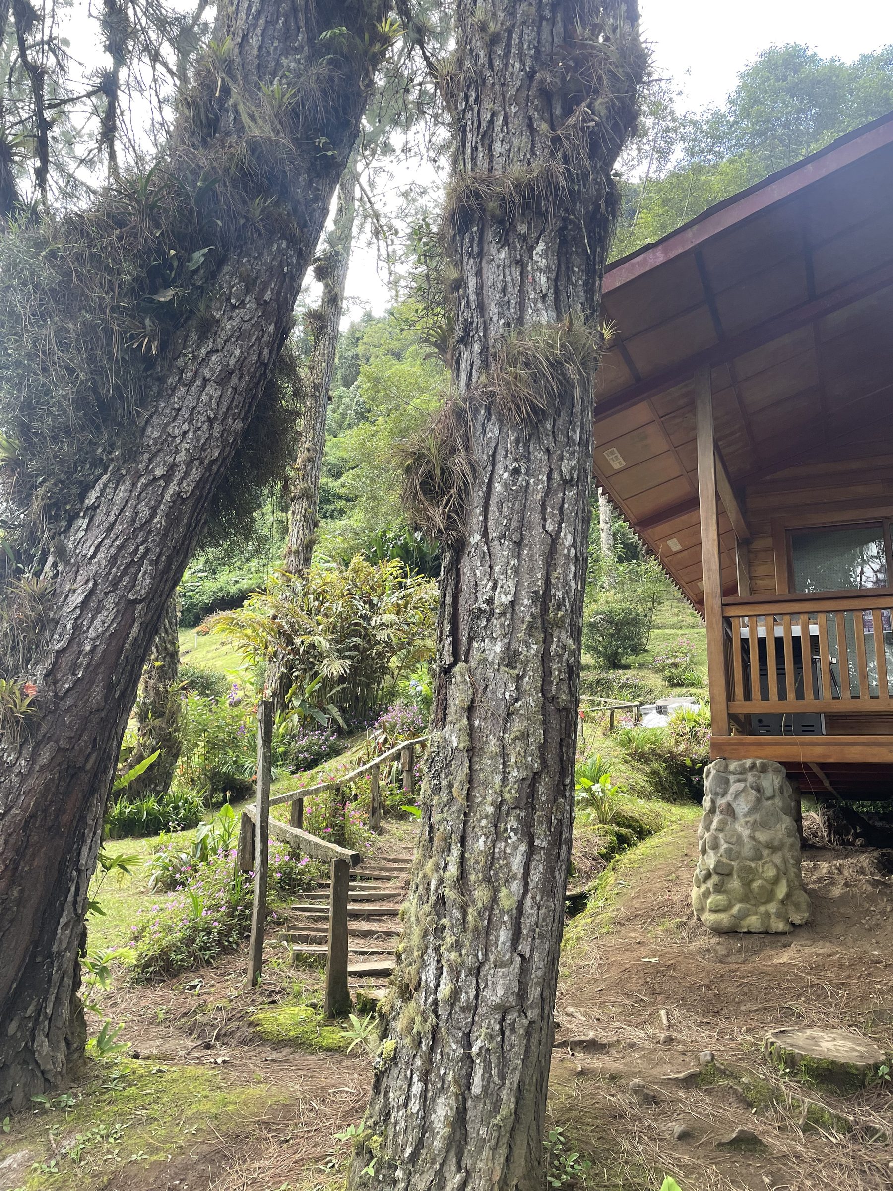 Cabaña de montaña para camping en Chiriquí