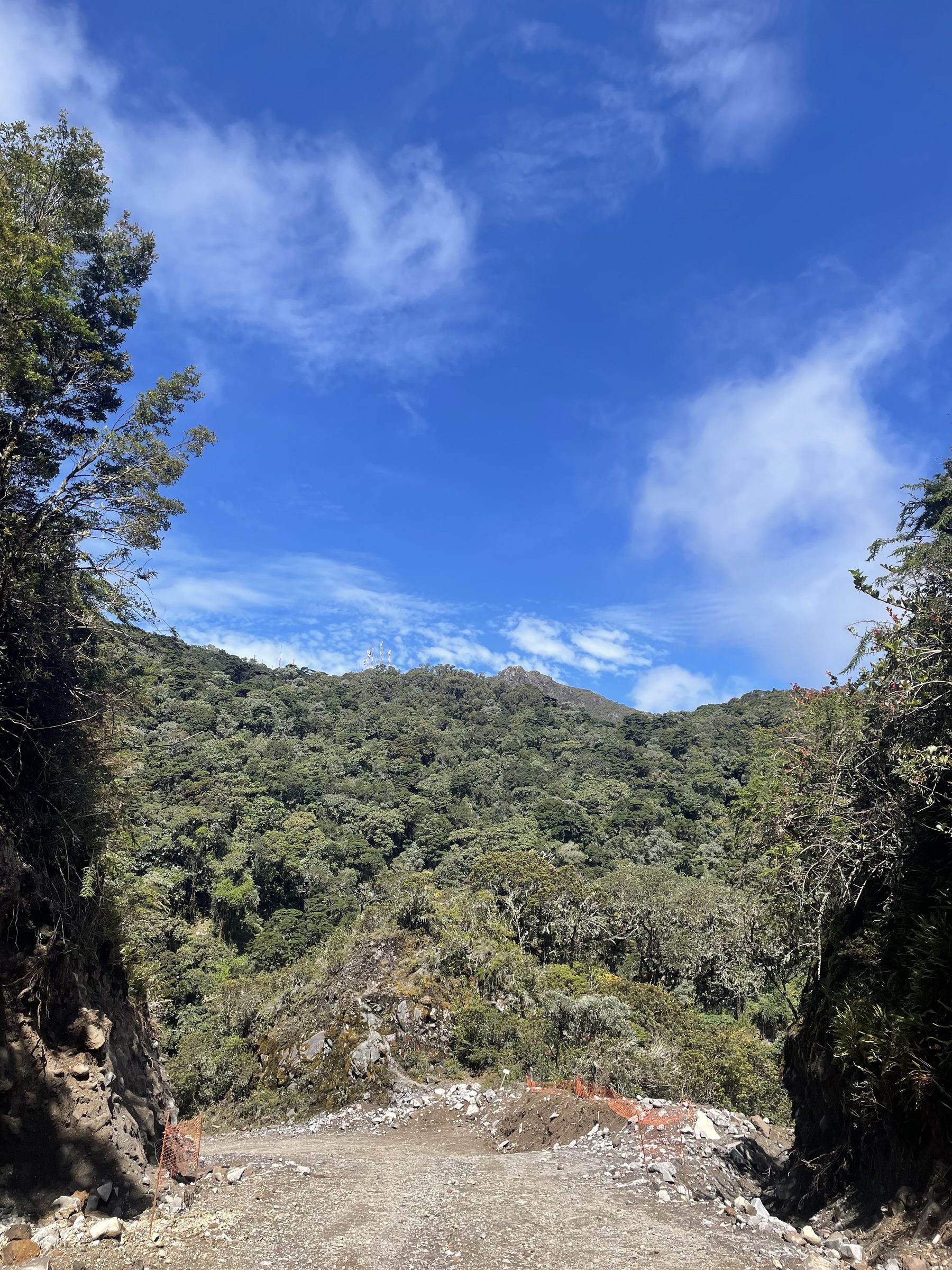 Camino hacia las montañas de Chiriquí