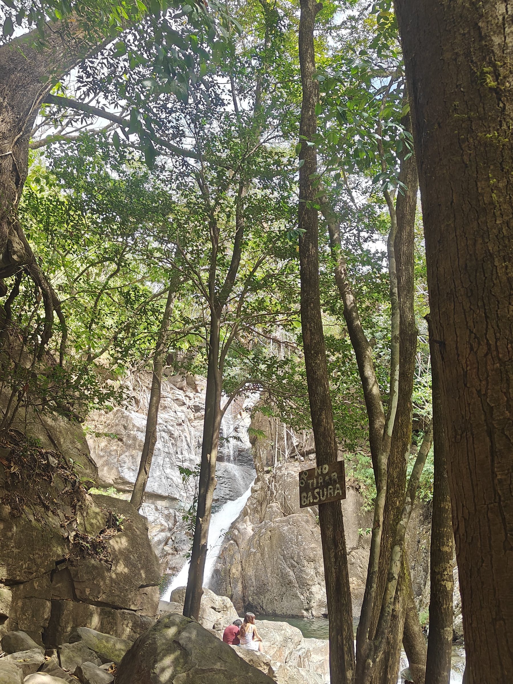 Cascada en selva