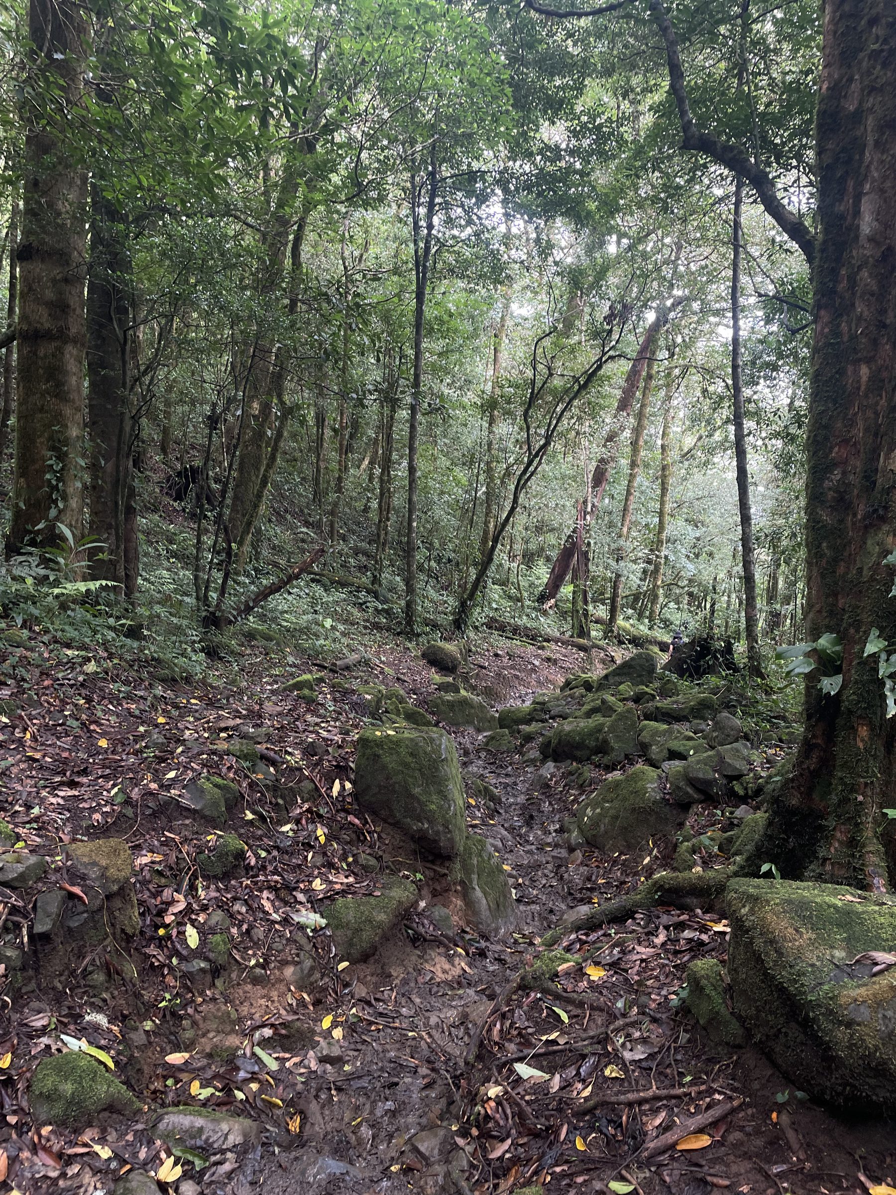 Sendero