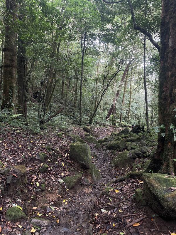 Camping en Cerro Artillería