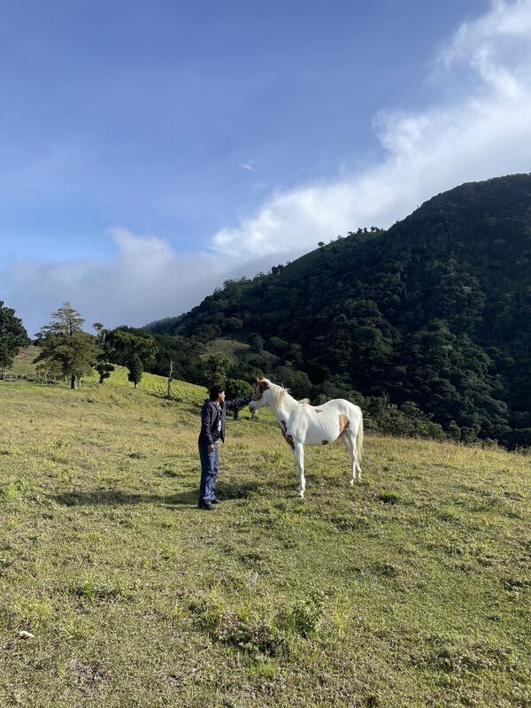 Camping en Cerro Artillería