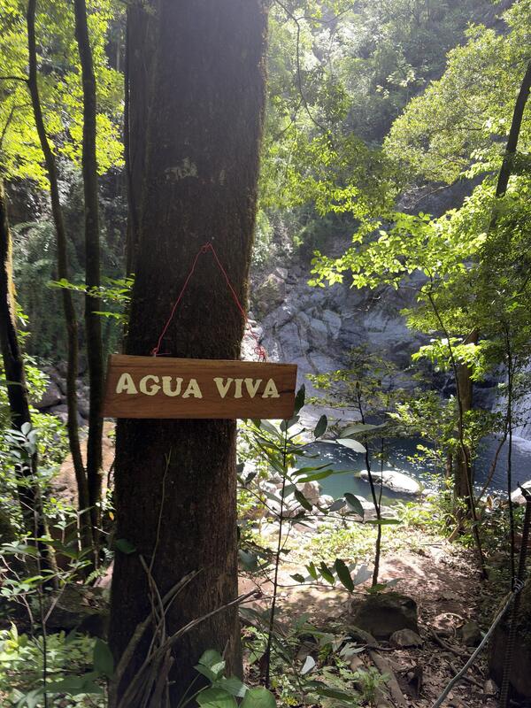 Circuito Cascada Agua Viva