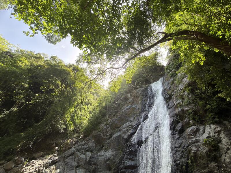 Circuito Cascada Agua Viva