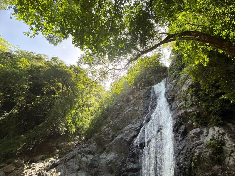 Circuito Cascada Agua Viva