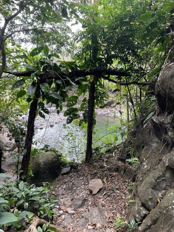 Cascada de Los Planes de Gualaca