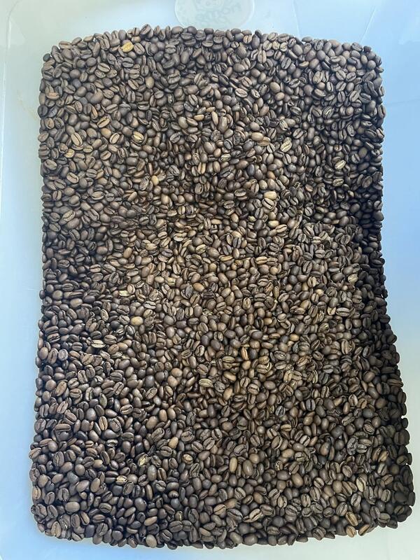 Coffee tour El Plano (Elida Estate)