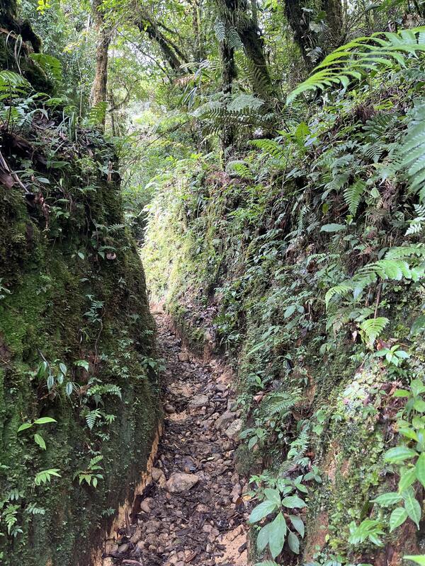 Sendero El Pianista