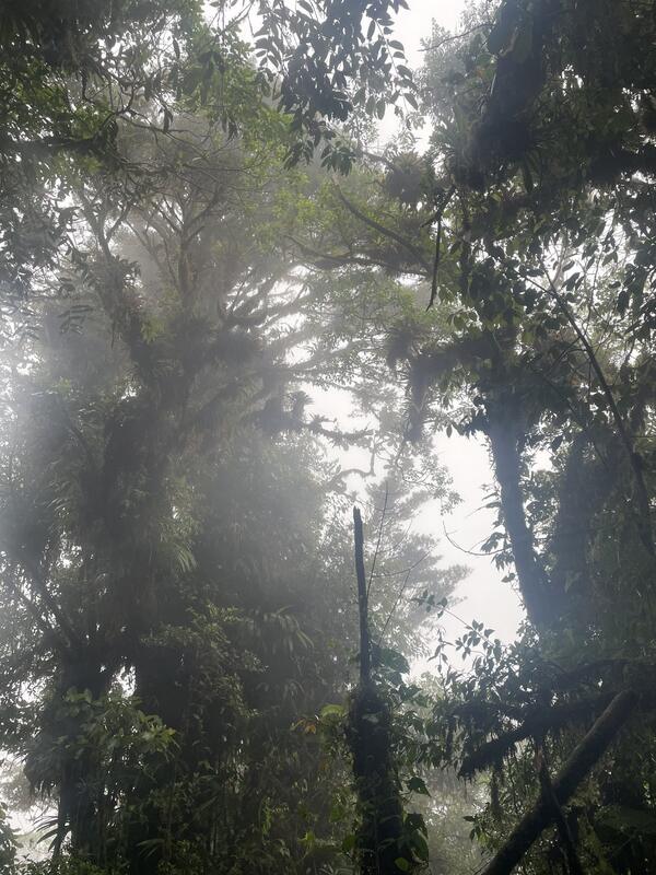 Sendero El Pianista