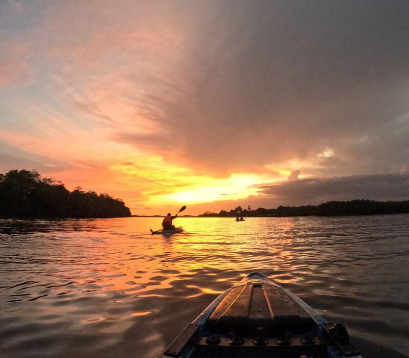 Kayak en manglares de Chiriquí