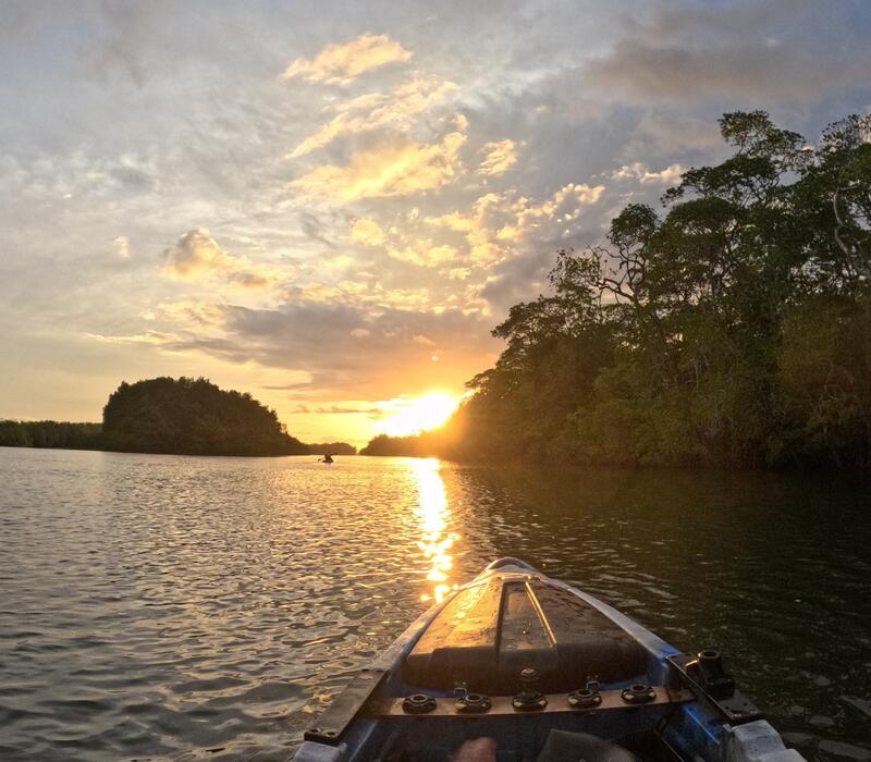 Kayak en manglares de Chiriquí