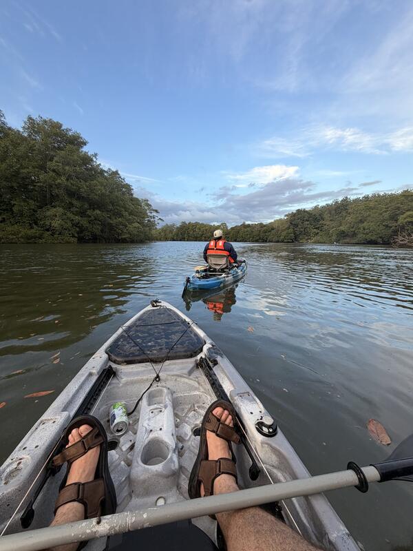 Kayak en manglares de Chiriquí