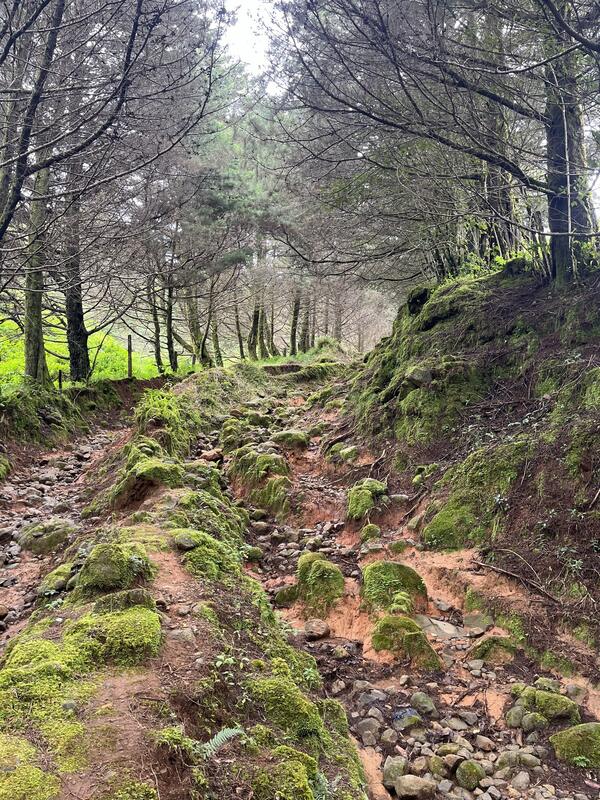 La Artillería (sendero)