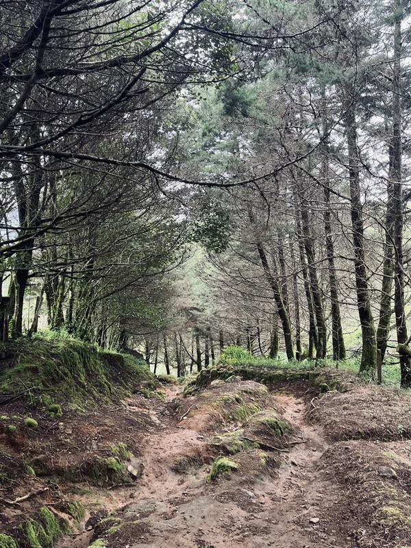 La Artillería (sendero)