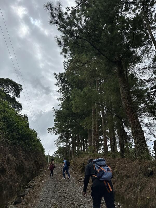 La Artillería (sendero)
