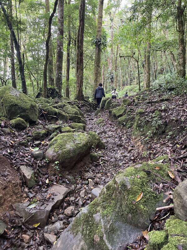 La Artillería (sendero)