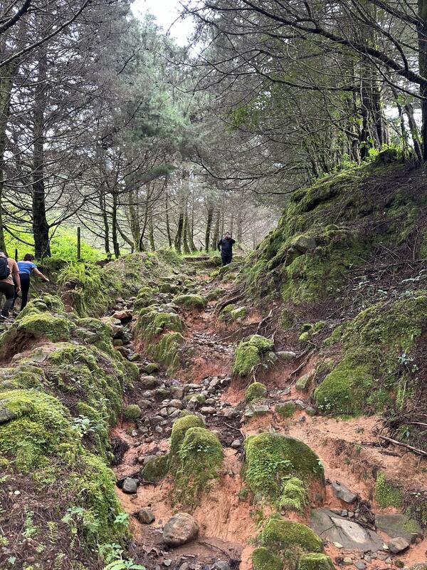 La Artillería (sendero)