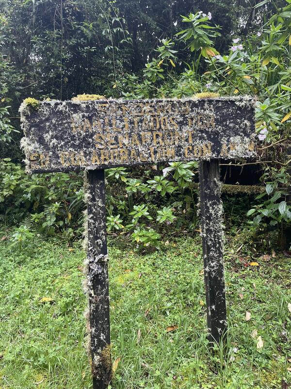 Sendero Los Quetzales (ida y vuelta al mirador)