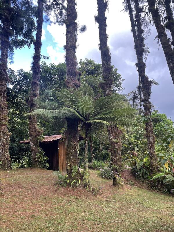 Lost Waterfalls (Las Tres Cascadas)