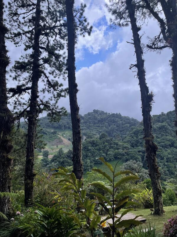 Lost Waterfalls (Las Tres Cascadas)