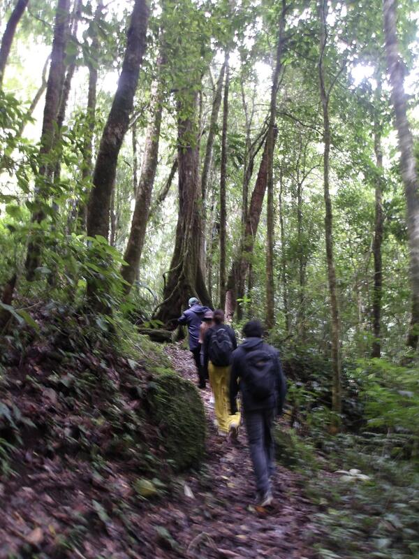 Mount Totumas