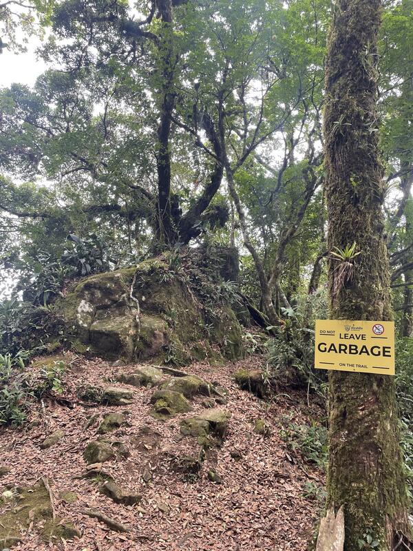 Piedra de Musgo